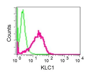 Flow Cytometry (Intracellular) - Anti-KLC1 antibody [EPR12441(B)] (AB174273)
