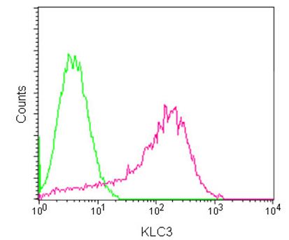 Flow Cytometry (Intracellular) - Anti-KLC3 antibody [EPR11149(2)] - BSA and Azide free (AB250220), expandable thumbnail