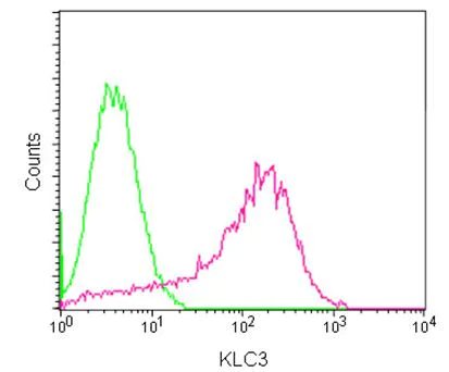 Flow Cytometry (Intracellular) - Anti-KLC3 antibody [EPR11149(2)] - BSA and Azide free (AB250220)