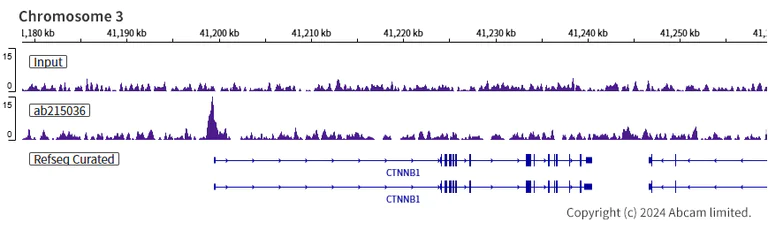 ChIP-sequencing - Anti-KLF4 antibody [EPR19590] (AB215036)