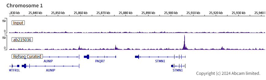 ChIP-sequencing - Anti-KLF4 antibody [EPR19590] - BSA and Azide free (ab222235), expandable thumbnail