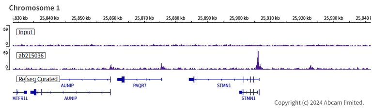 ChIP-sequencing - Anti-KLF4 antibody [EPR19590] - BSA and Azide free (AB222235)