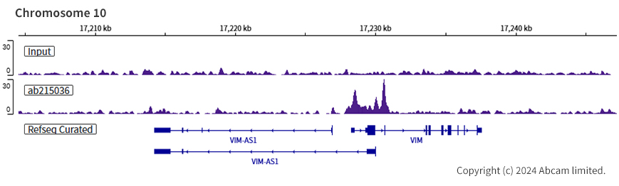 ChIP-sequencing - Anti-KLF4 antibody [EPR19590] - BSA and Azide free (ab222235), expandable thumbnail