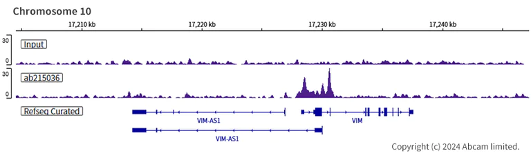 ChIP-sequencing - Anti-KLF4 antibody [EPR19590] - BSA and Azide free (AB222235)
