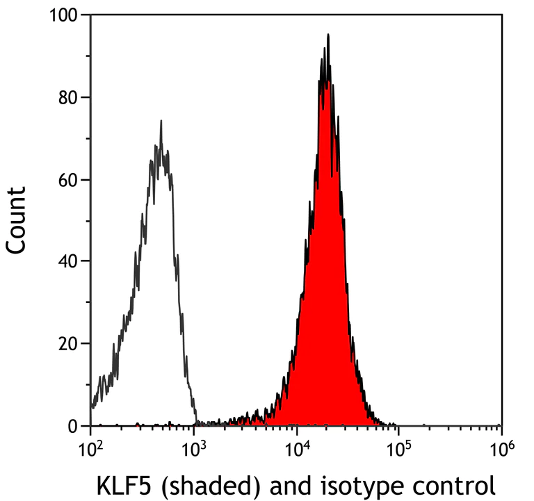 Flow Cytometry - Anti-KLF5 antibody [BLR243L] - BSA free (AB314109)