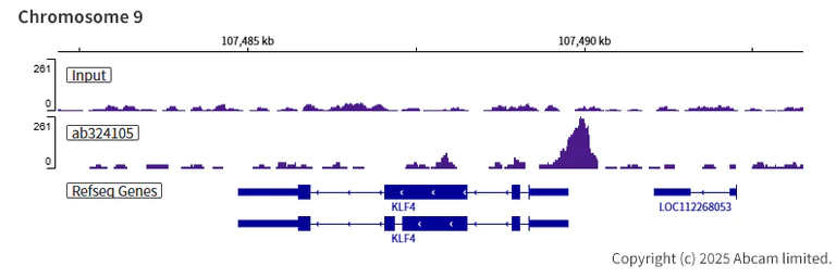 ChIP-sequencing - Anti-KLF5 antibody [EPR29066-77] (AB324105)