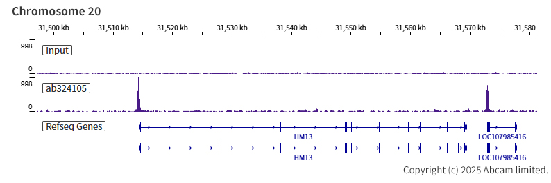 ChIP-sequencing - Anti-KLF5 antibody [EPR29066-77] (ab324105), expandable thumbnail