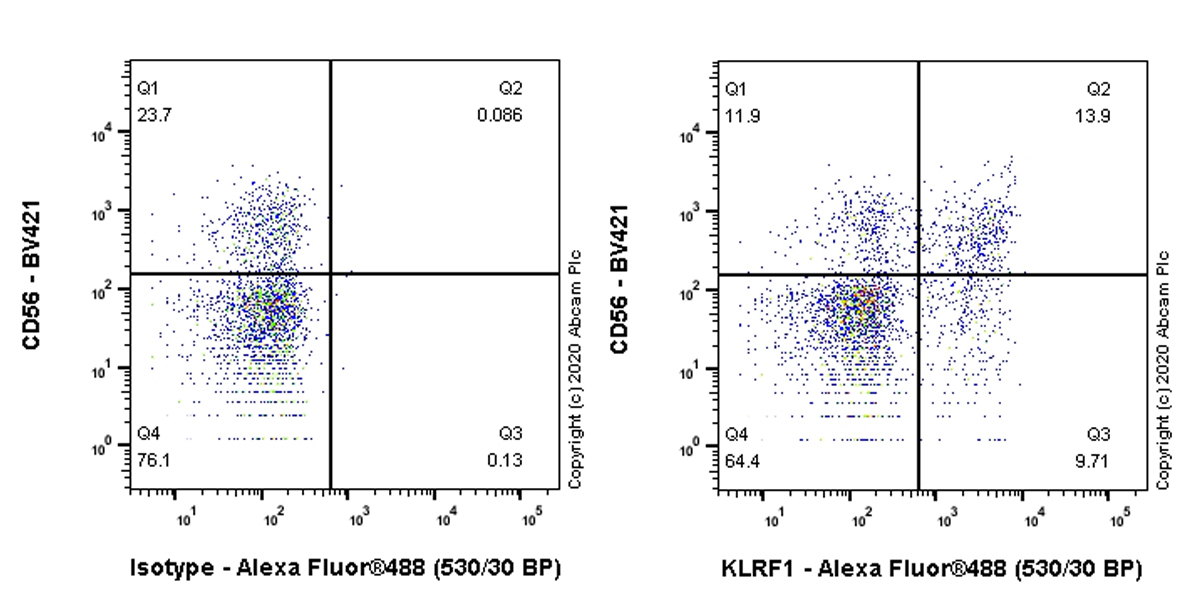 Flow Cytometry - Anti-KLRF1 antibody [EPR23633-150] - BSA and Azide free (AB277490), expandable thumbnail