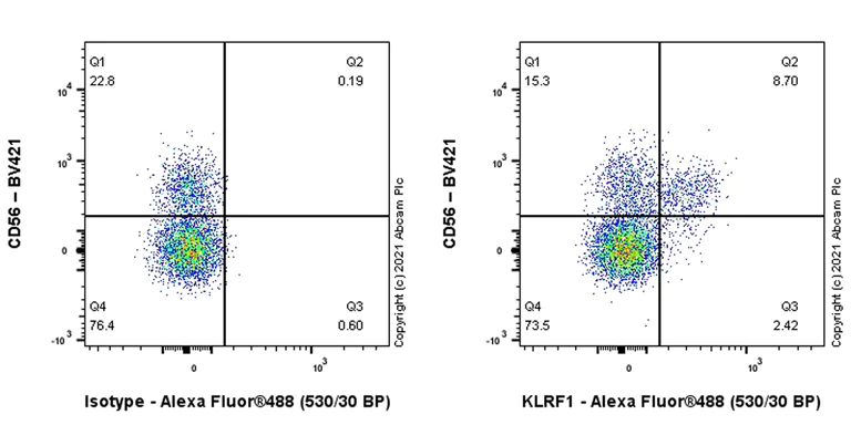 Anti-KLRF1 antibody [EPR23633-27] (ab284131) | Abcam