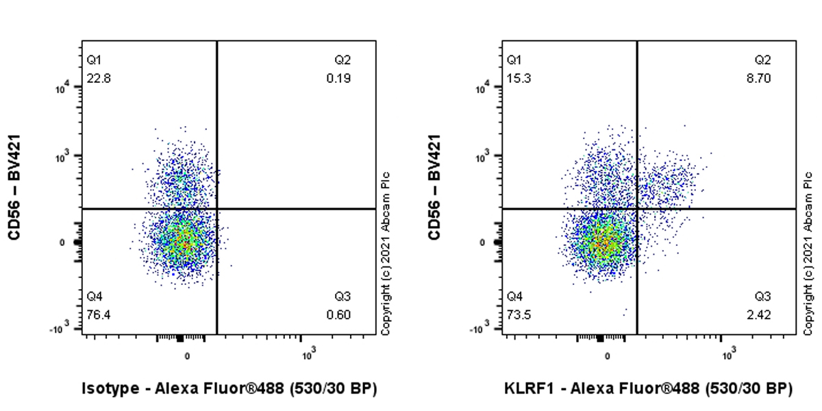 Flow Cytometry (Intracellular) - Anti-KLRF1 antibody [EPR23633-27] - BSA and Azide free (AB284137), expandable thumbnail