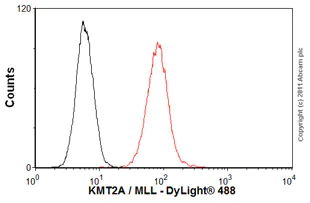 Flow Cytometry (Intracellular) - Anti-KMT2A / MLL antibody [mmN4.4] (AB32400)