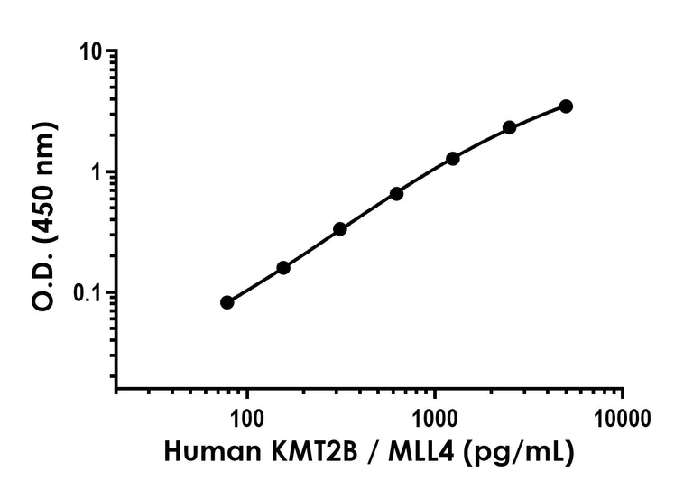 Sandwich ELISA - Anti-KMT2A / MLL + KMT2B / MLL4 antibody [EPR27970-83] - BSA and Azide free (Detector) (AB317054)