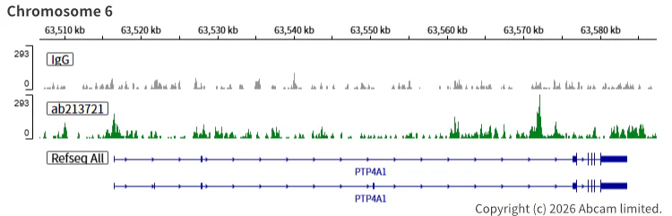ChIC/CUT&RUN sequencing - Anti-KMT2D / MLL2 antibody [EPR20604-73] - BSA and Azide free (AB274431)