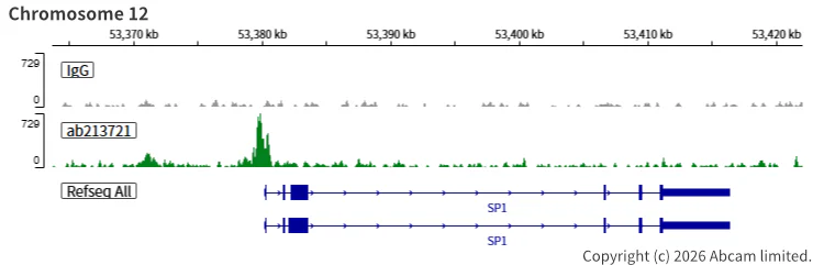ChIC/CUT&RUN sequencing - Anti-KMT2D / MLL2 antibody [EPR20604-73] - BSA and Azide free (AB274431)