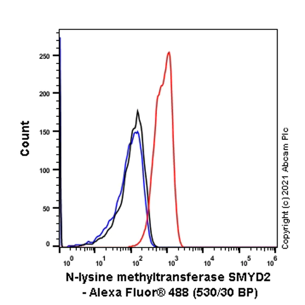 Flow Cytometry (Intracellular) - Anti-KMT3C / SMYD2 antibody [EPR24071-25] - BSA and Azide free (AB282594)