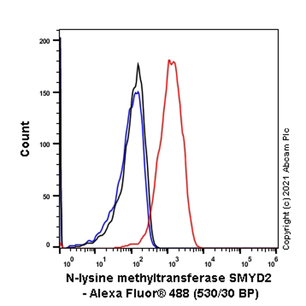 Flow Cytometry (Intracellular) - Anti-KMT3C / SMYD2 antibody [EPR24071-25] - BSA and Azide free (AB282594)
