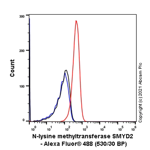 Flow Cytometry (Intracellular) - Anti-KMT3C / SMYD2 antibody [EPR24071-25] - BSA and Azide free (AB282594)