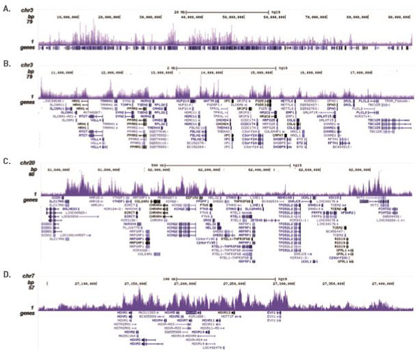 ChIP-sequencing - Anti-KMT6 / EZH2 antibody - ChIP Grade (AB195409), expandable thumbnail