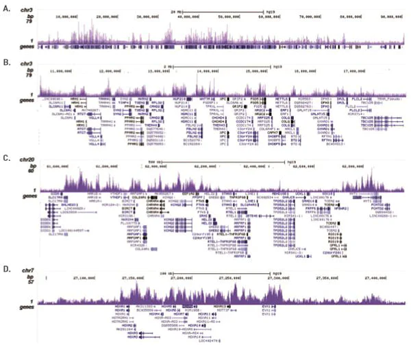 ChIP-sequencing - Anti-KMT6 / EZH2 antibody - ChIP Grade (AB195409)