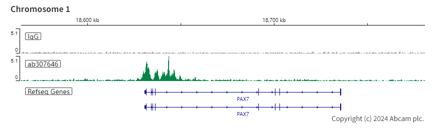 ChIC/CUT&RUN sequencing - Anti-KMT6 / EZH2 antibody [EPR25353-284] (AB307646), expandable thumbnail