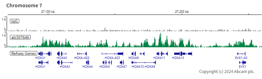 ChIC/CUT&RUN sequencing - Anti-KMT6 / EZH2 antibody [EPR25353-284] - BSA and Azide free (AB307647), expandable thumbnail