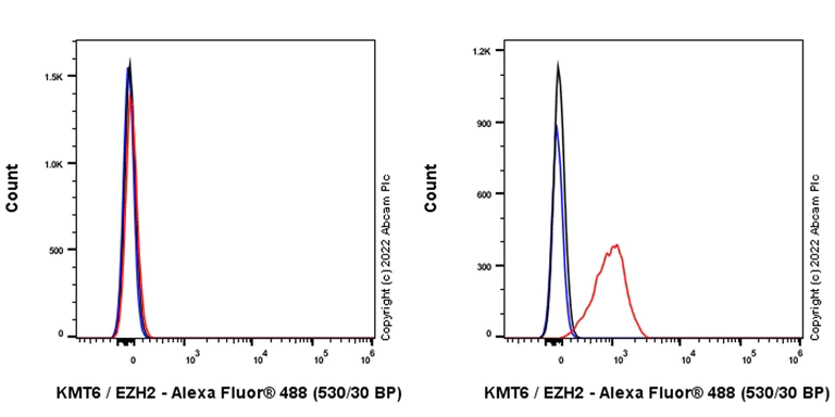 Flow Cytometry (Intracellular) - Anti-KMT6 / EZH2 antibody [EPR25353-284] - BSA and Azide free (AB307647)