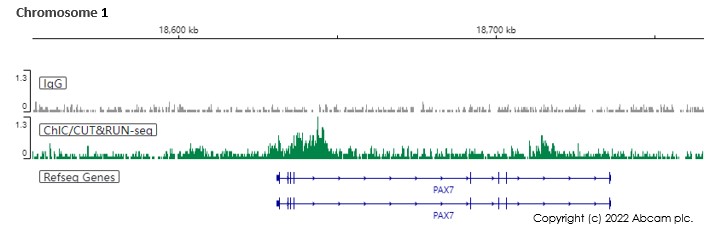 ChIC/CUT&RUN sequencing - Anti-KMT6 / EZH2 antibody [SP129] - BSA and Azide free (AB245738), expandable thumbnail