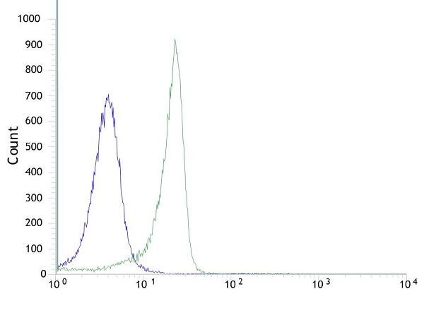 Flow Cytometry (Intracellular) - Anti-KMT6 / EZH2 antibody [SP129] - BSA and Azide free (AB245738), expandable thumbnail