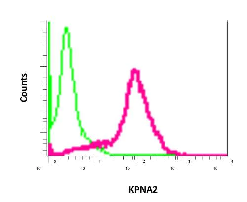 Flow Cytometry (Intracellular) - Anti-KPNA2 antibody [EPR11716(B)] (AB170495)