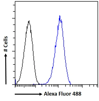Flow Cytometry - Anti-KPNA3 antibody (AB6038)