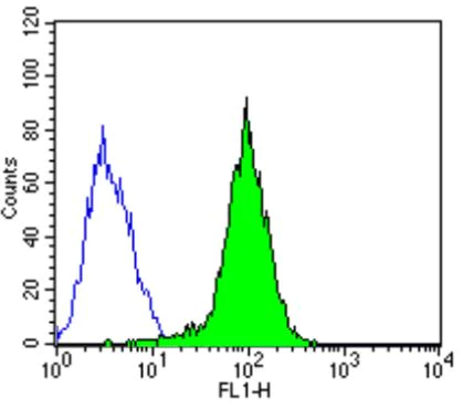 Flow Cytometry - Anti-KPNB1 antibody [3E9] (AB2811)