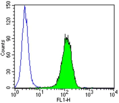 Flow Cytometry - Anti-KPNB1 antibody [3E9] (AB2811)