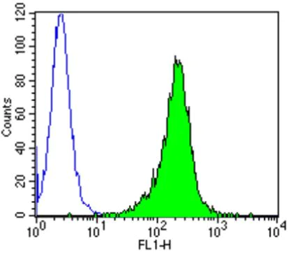 Flow Cytometry - Anti-KPNB1 antibody [3E9] (AB2811)
