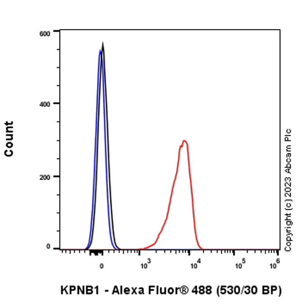 Flow Cytometry (Intracellular) - Anti-KPNB1 antibody [EPR26137-52] - BSA and Azide free (AB313371)