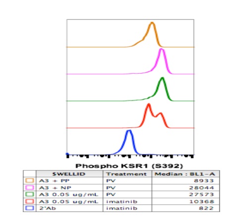 Flow Cytometry - Anti-KSR1 (phospho S392) antibody [KSR1S392-3A4] (AB278551), expandable thumbnail