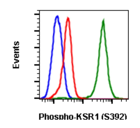 Flow Cytometry - Anti-KSR1 (phospho S392) antibody [KSR1S392-3A4] (AB278551)