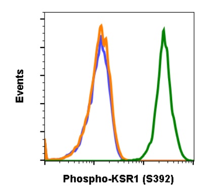 Flow Cytometry - Anti-KSR1 (phospho S392) antibody [KSR1S392-3A4] (AB278551), expandable thumbnail