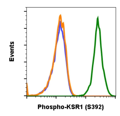 Flow Cytometry - Anti-KSR1 (phospho S392) antibody [KSR1S392-3A4] (AB278551)