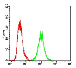 Flow Cytometry - Anti-Ku70 antibody [2F7F5] (AB202022)