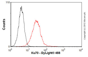 Flow Cytometry (Intracellular) - Anti-Ku70 antibody [EPR4027] - BSA and Azide free (ab239912), expandable thumbnail