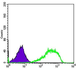 Flow Cytometry - Anti-Ku80 antibody [5C5] (AB119935)