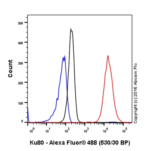 Flow Cytometry (Intracellular) - Anti-Ku80 antibody [EPR3468] - BSA and Azide free (AB232381)