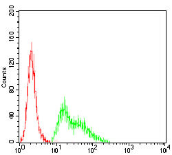 Flow Cytometry - Anti-Kv4.2/KCND2 antibody [5B11B9] (AB204942)
