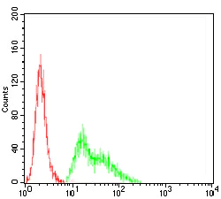 Flow Cytometry - Anti-Kv4.2/KCND2 antibody [5B11B9] (AB204942)