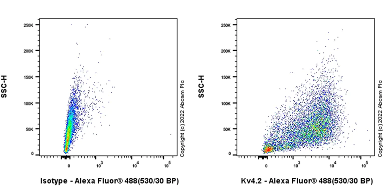 Flow Cytometry (Intracellular) - Anti-Kv4.2/KCND2 antibody [EPR26384-89] - BSA and Azide free (AB307711)