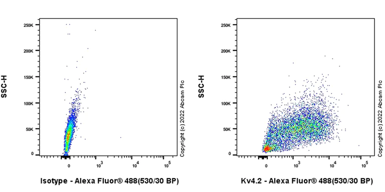 Flow Cytometry (Intracellular) - Anti-Kv4.2/KCND2 antibody [EPR26384-89] - BSA and Azide free (AB307711)
