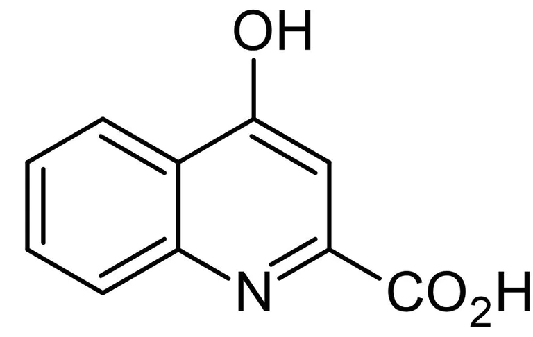 Chemical Structure - Kynurenic acid, endogenous ionotropic / nicotinic antagonist (AB120064)