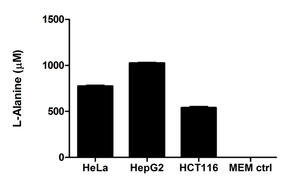 Functional Studies - L-Alanine Assay Kit (AB83394)