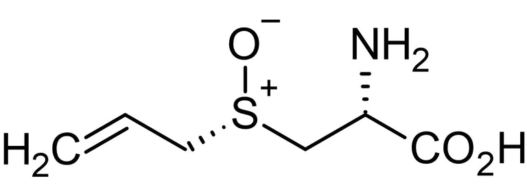 Chemical Structure - L-(+)-Alliin, Cystein sulfoxide derived from garlic (AB141895)