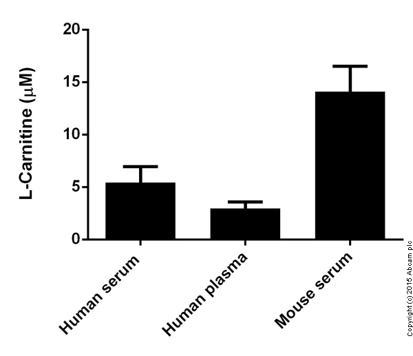 Functional Studies - L-Carnitine Assay Kit (AB83392)